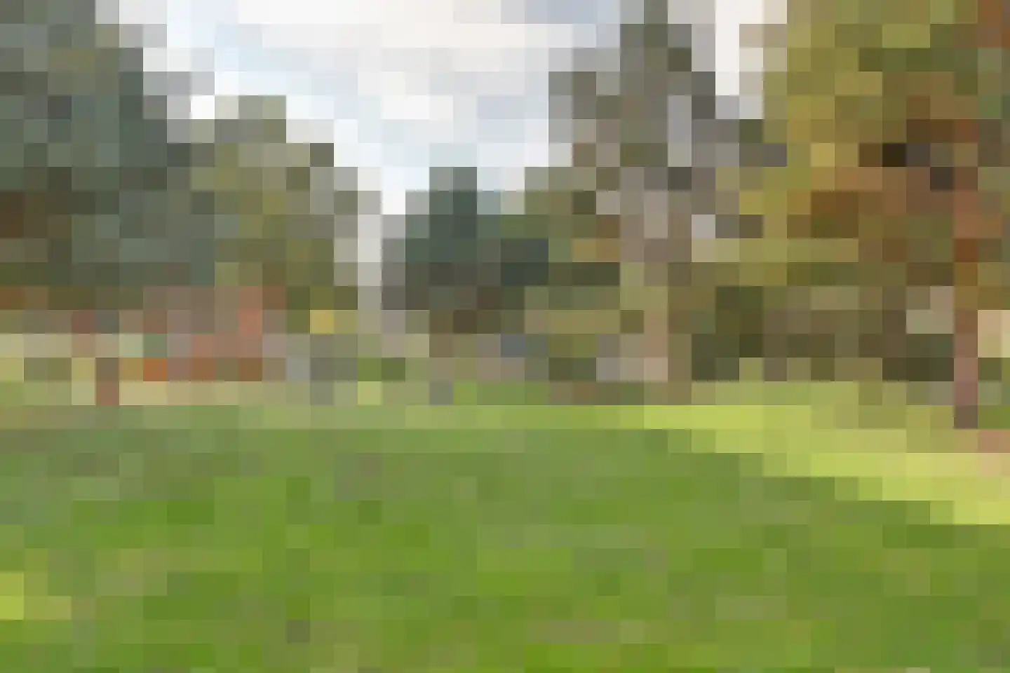 Rosarium 4 Nootdorp thumbnail 16