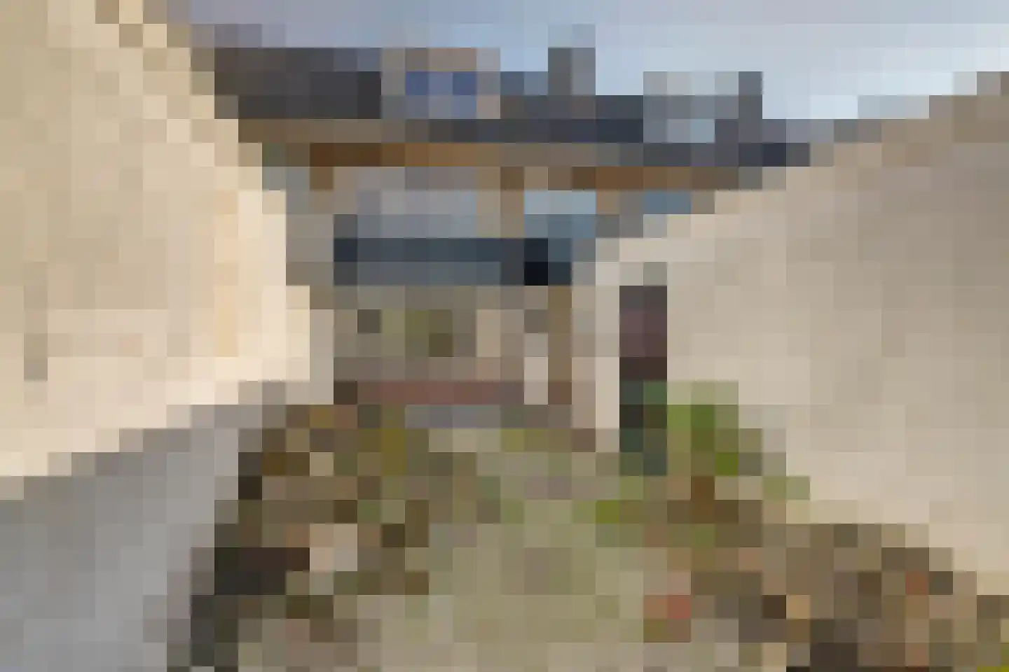 Rosarium 4 Nootdorp thumbnail 26