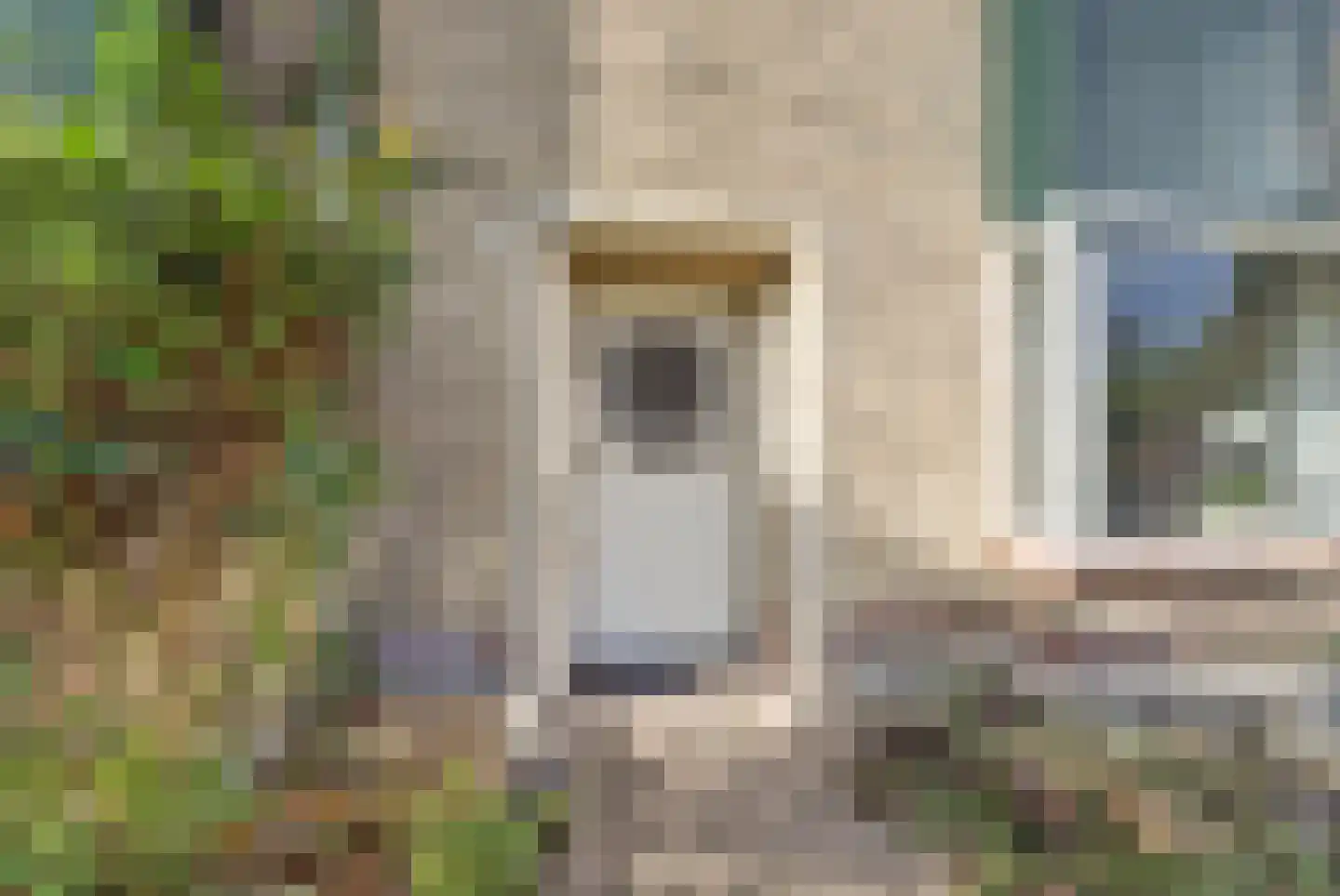 Rosarium 4 Nootdorp thumbnail 7