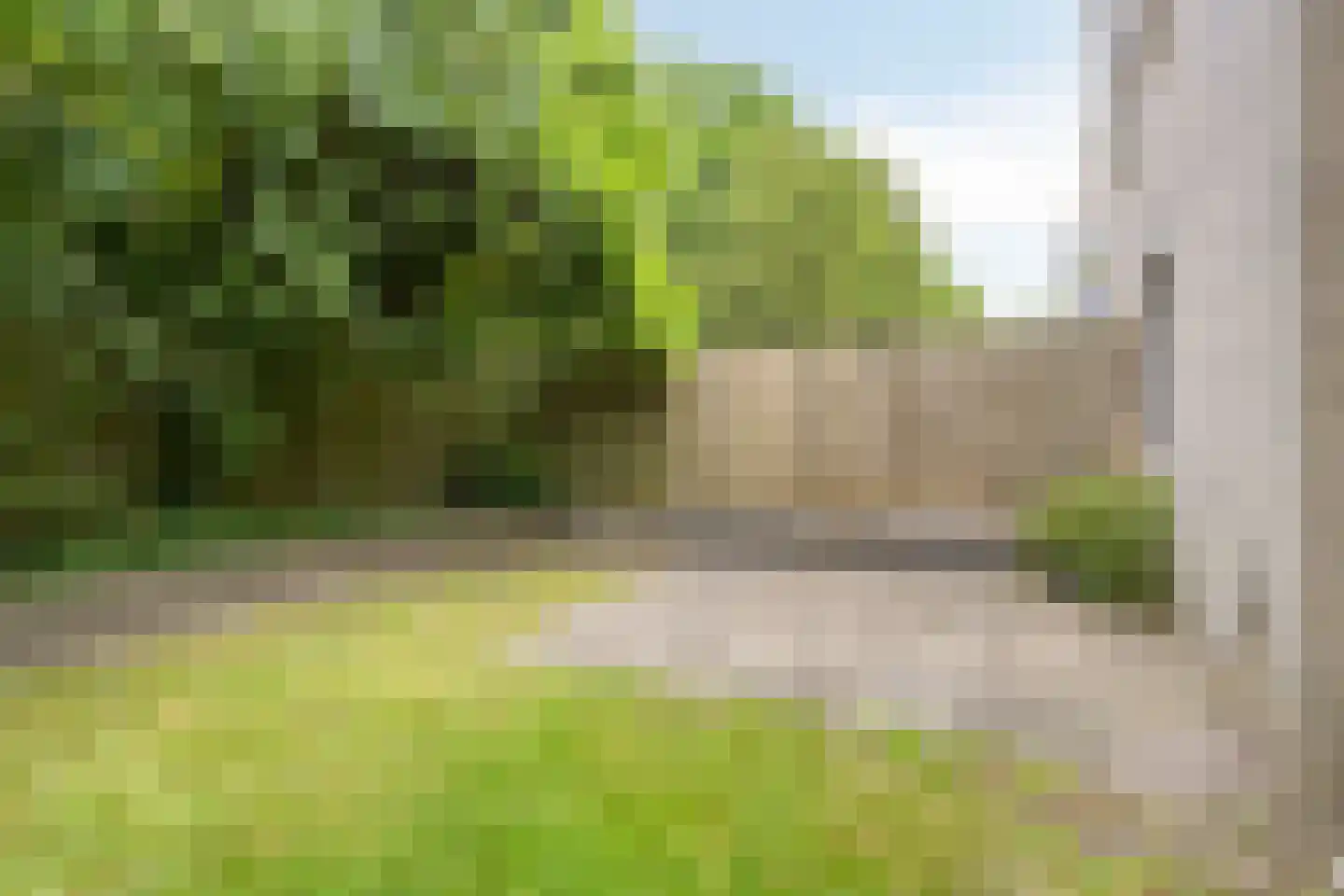 Rosarium 5 Almere thumbnail 26