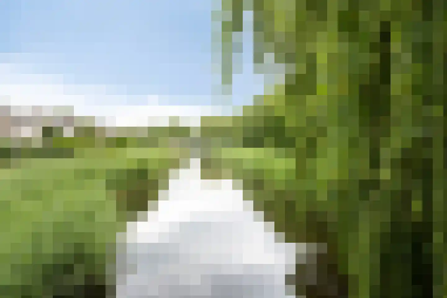 Rosarium 5 Almere thumbnail 30