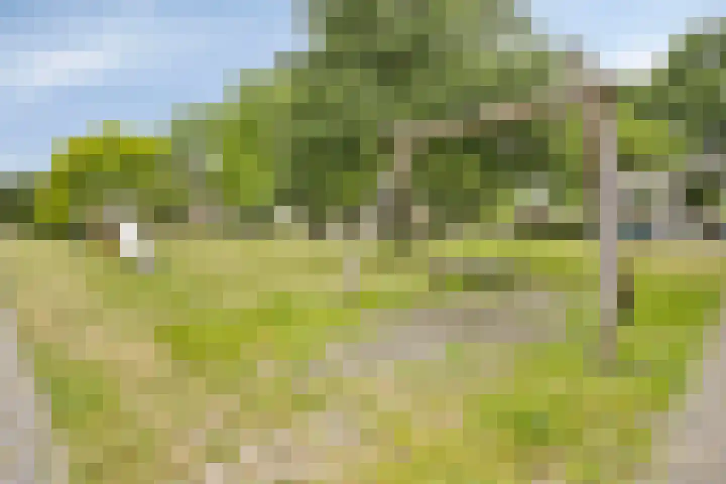 Rosarium 5 Almere thumbnail 31