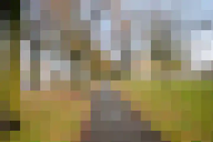 Rosarium 97 Almere thumbnail 26