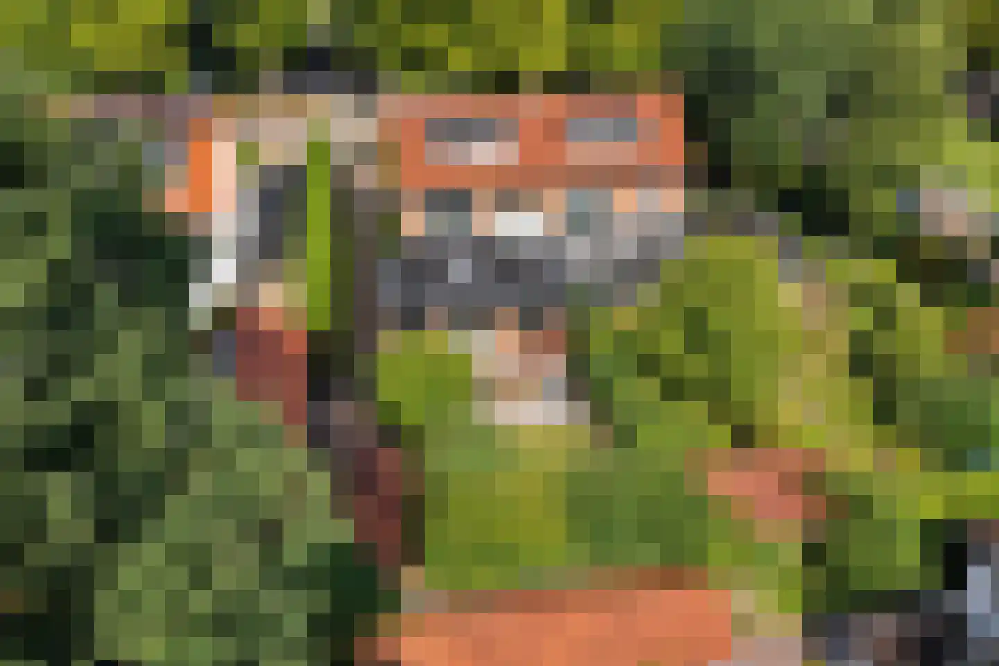 Rosariumlaan 33 Driebergen-Rijsenburg thumbnail 52