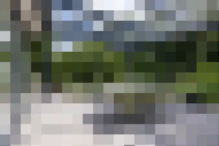 Rosariumlaan 39 Driebergen-Rijsenburg thumbnail 35
