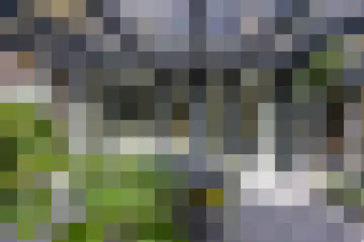 Rosariumlaan 39 Driebergen-Rijsenburg thumbnail 36
