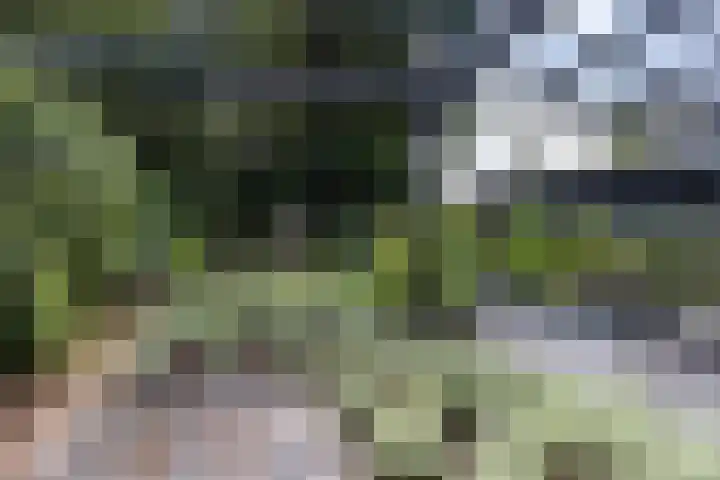 Rosariumlaan 39 Driebergen-Rijsenburg thumbnail 38