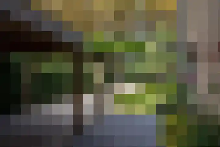Rosariumlaan 39 Driebergen-Rijsenburg thumbnail 43