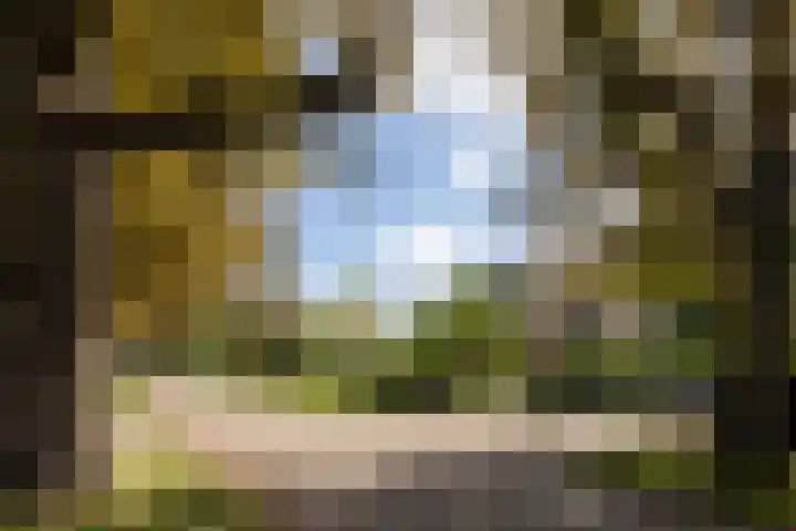 Rosariumlaan 39 Driebergen-Rijsenburg thumbnail 45