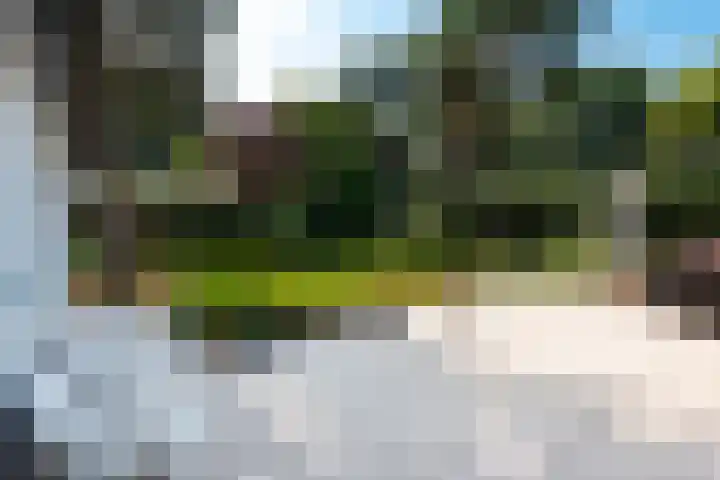 Rosariumlaan 55 Driebergen-Rijsenburg thumbnail 31
