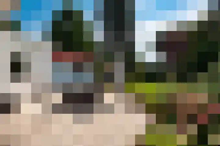 Rosariumlaan 55 Driebergen-Rijsenburg thumbnail 33