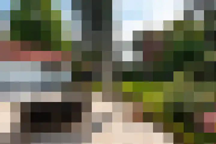 Rosariumlaan 55 Driebergen-Rijsenburg thumbnail 34