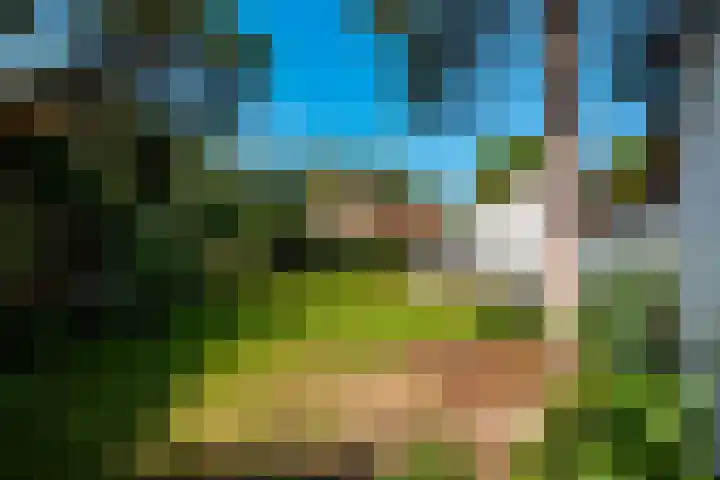 Rosariumlaan 55 Driebergen-Rijsenburg thumbnail 4