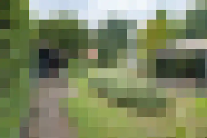 Rosariumlaan 60 Driebergen-Rijsenburg thumbnail 34