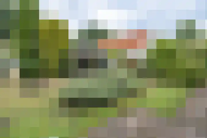Rosariumlaan 60 Driebergen-Rijsenburg thumbnail 35