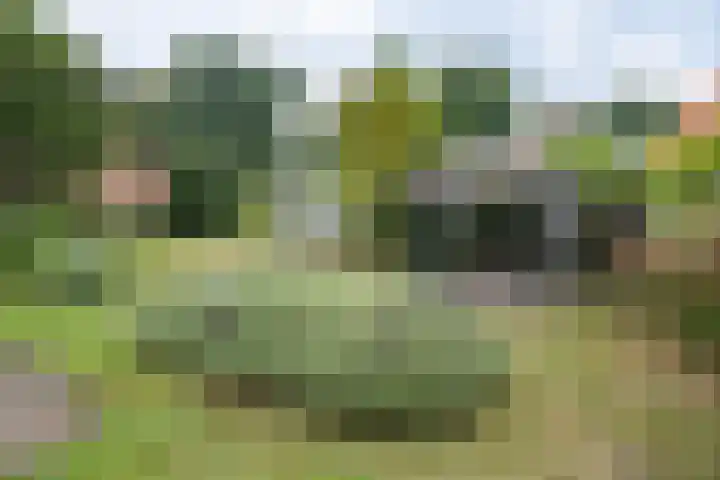 Rosariumlaan 60 Driebergen-Rijsenburg thumbnail 39