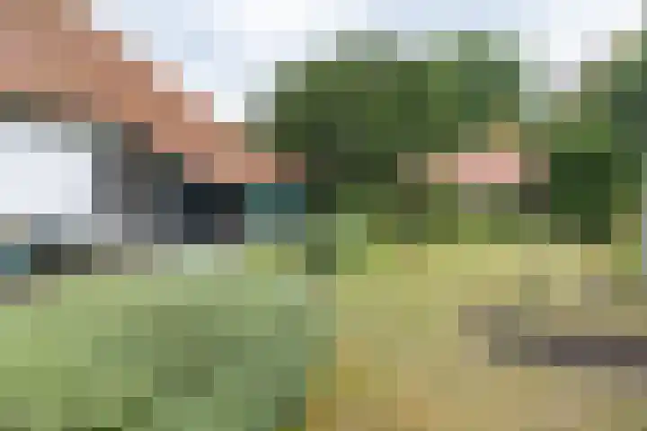 Rosariumlaan 60 Driebergen-Rijsenburg thumbnail 40