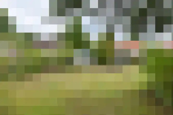 Rosariumlaan 60 Driebergen-Rijsenburg thumbnail 41