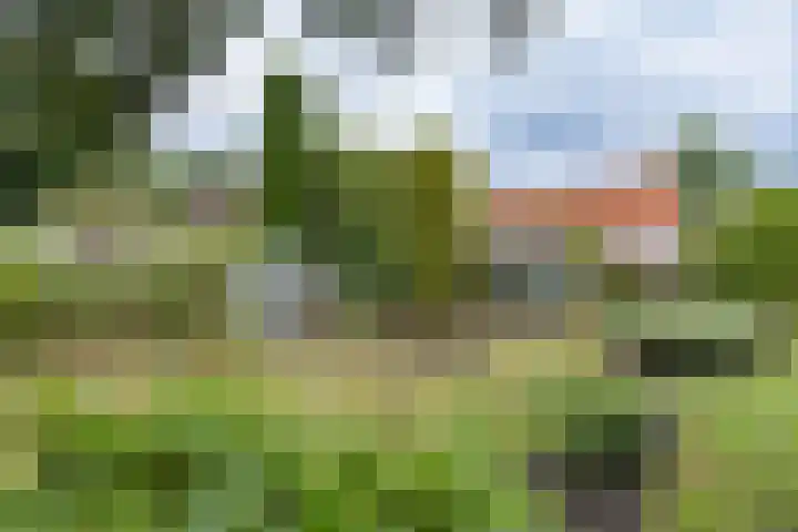 Rosariumlaan 60 Driebergen-Rijsenburg thumbnail 42