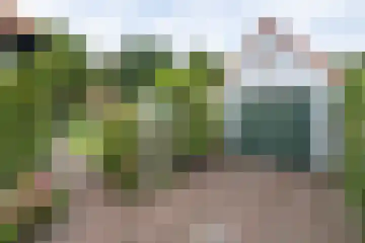 Rosariumlaan 60 Driebergen-Rijsenburg thumbnail 43