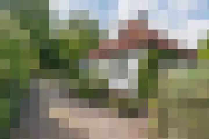 Rosariumlaan 60 Driebergen-Rijsenburg thumbnail 45