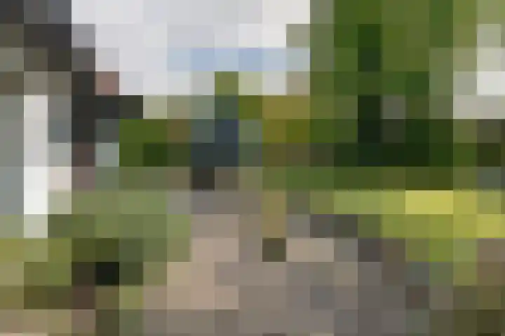 Rosariumlaan 60 Driebergen-Rijsenburg thumbnail 49