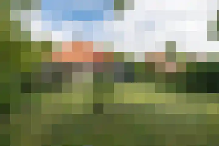 Rosariumlaan 60 Driebergen-Rijsenburg thumbnail 50