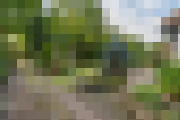 Rosariumlaan 60 Driebergen-Rijsenburg thumbnail 52