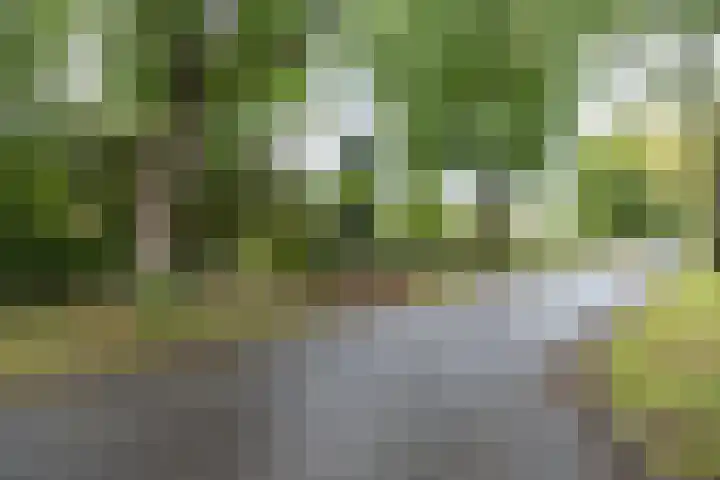 Rosariumlaan 60 Driebergen-Rijsenburg thumbnail 53