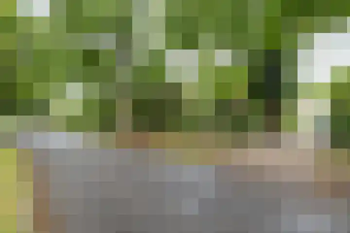 Rosariumlaan 60 Driebergen-Rijsenburg thumbnail 54