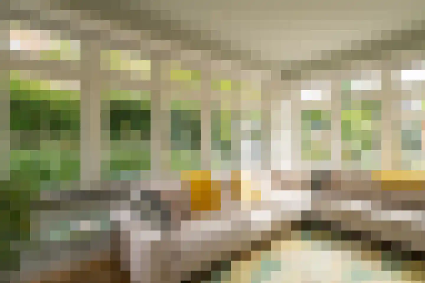 Rosariumlaan 7 Driebergen-Rijsenburg thumbnail 13
