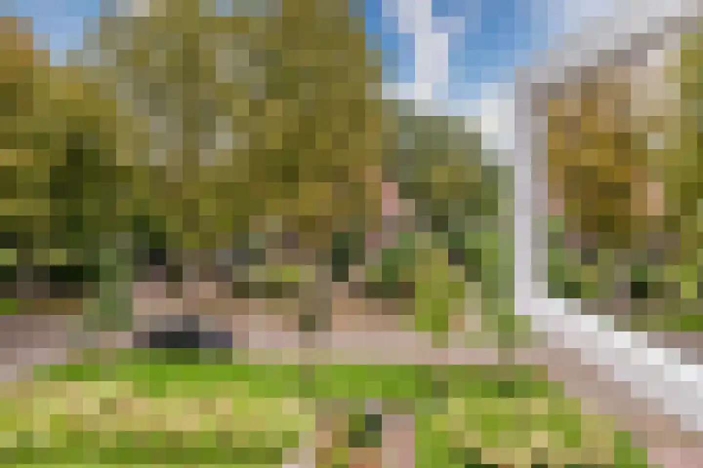 Rosariumlaan 7 Driebergen-Rijsenburg thumbnail 67
