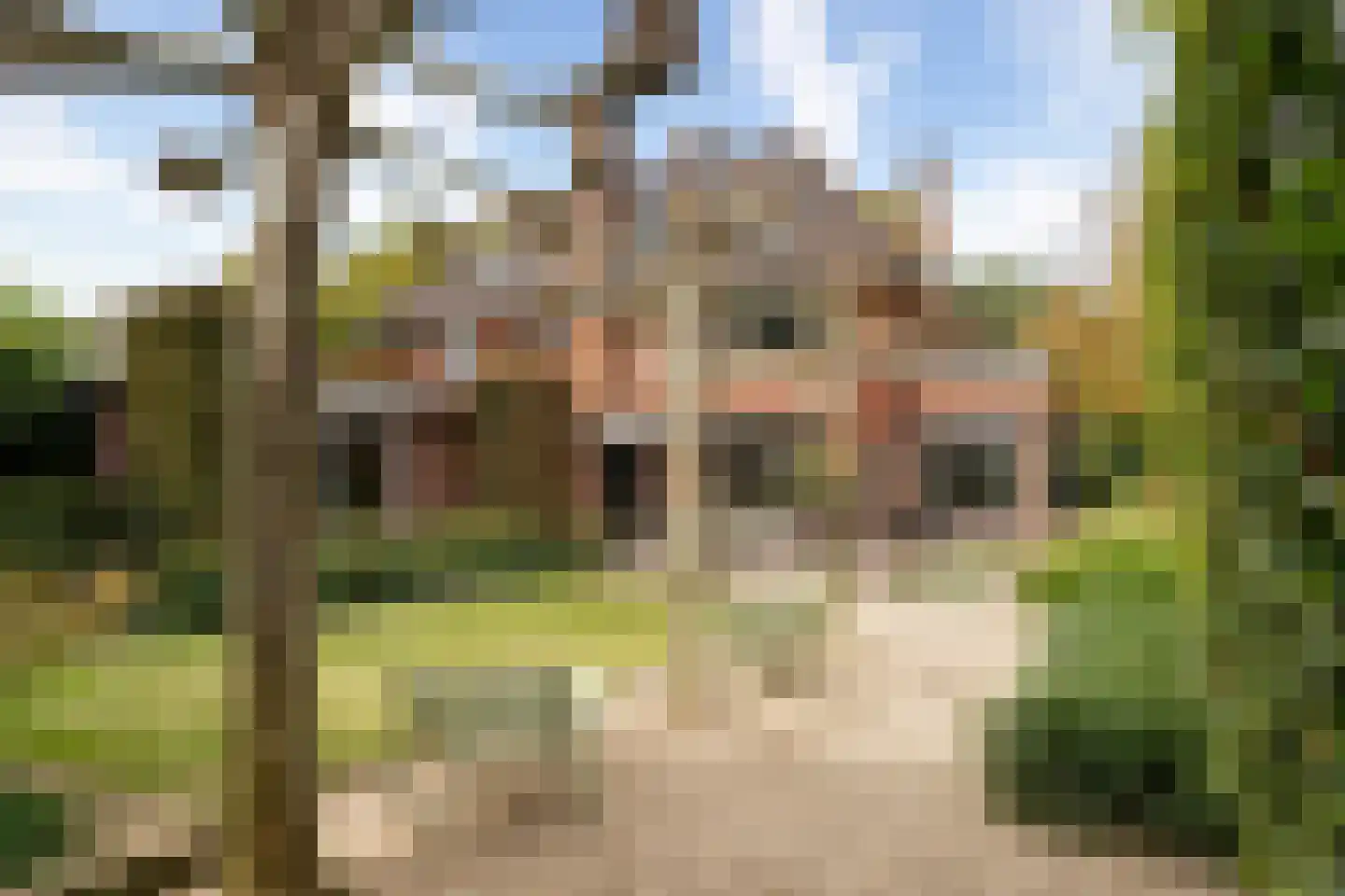 Rosariumlaan 7 Driebergen-Rijsenburg thumbnail 72