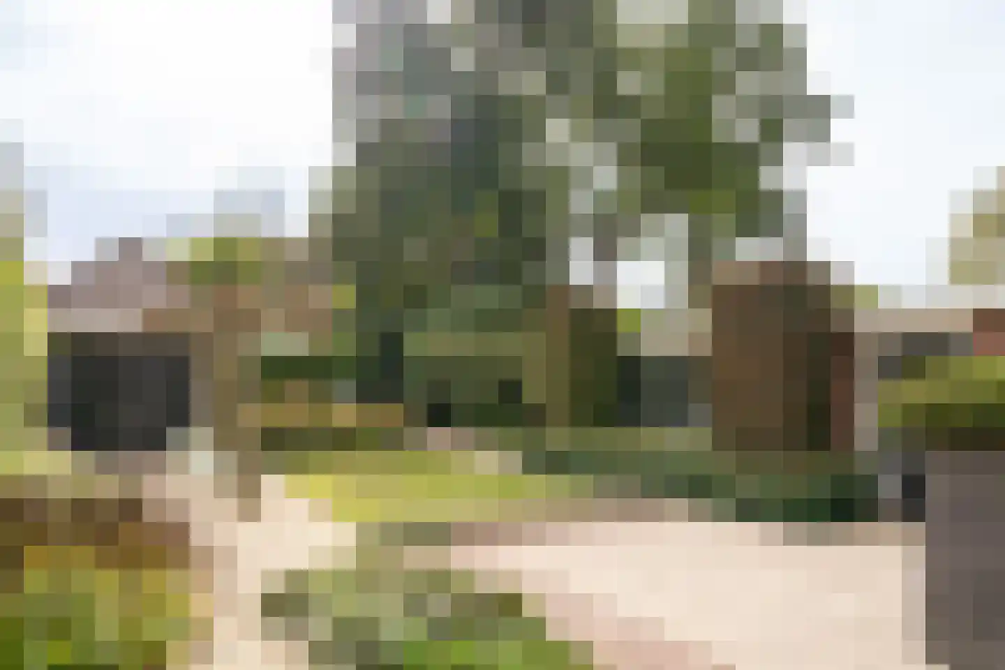 Rosariumlaan 7 Driebergen-Rijsenburg thumbnail 75