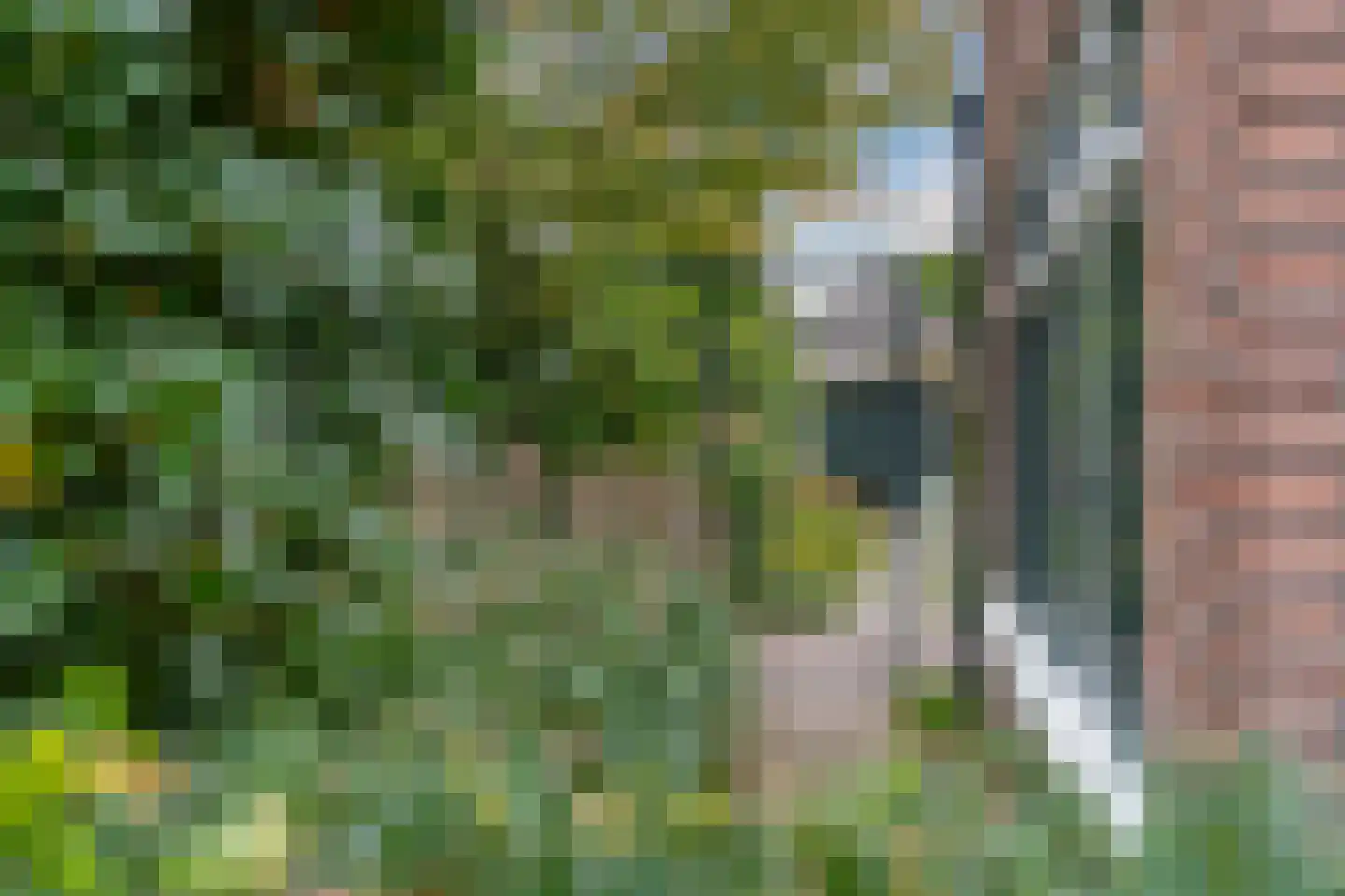 Rosariumlaan 7 Driebergen-Rijsenburg thumbnail 81