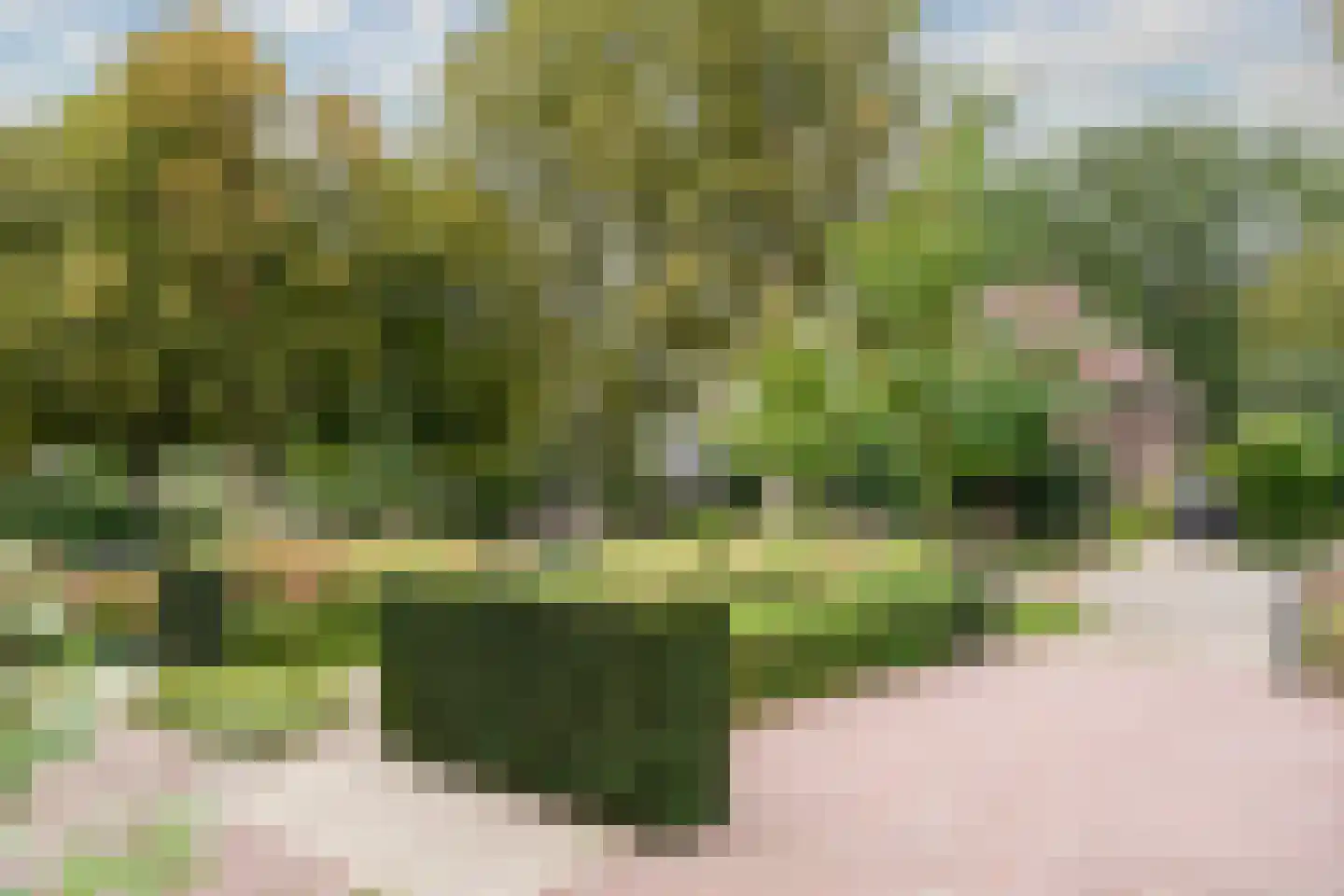 Rosariumlaan 7 Driebergen-Rijsenburg thumbnail 82