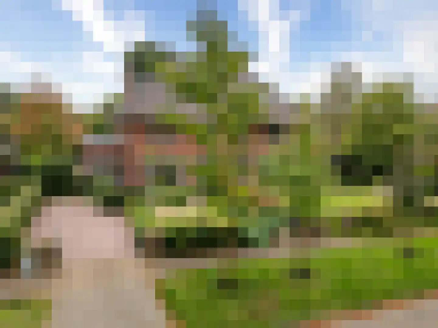 Rosariumlaan 7 Driebergen-Rijsenburg thumbnail 83