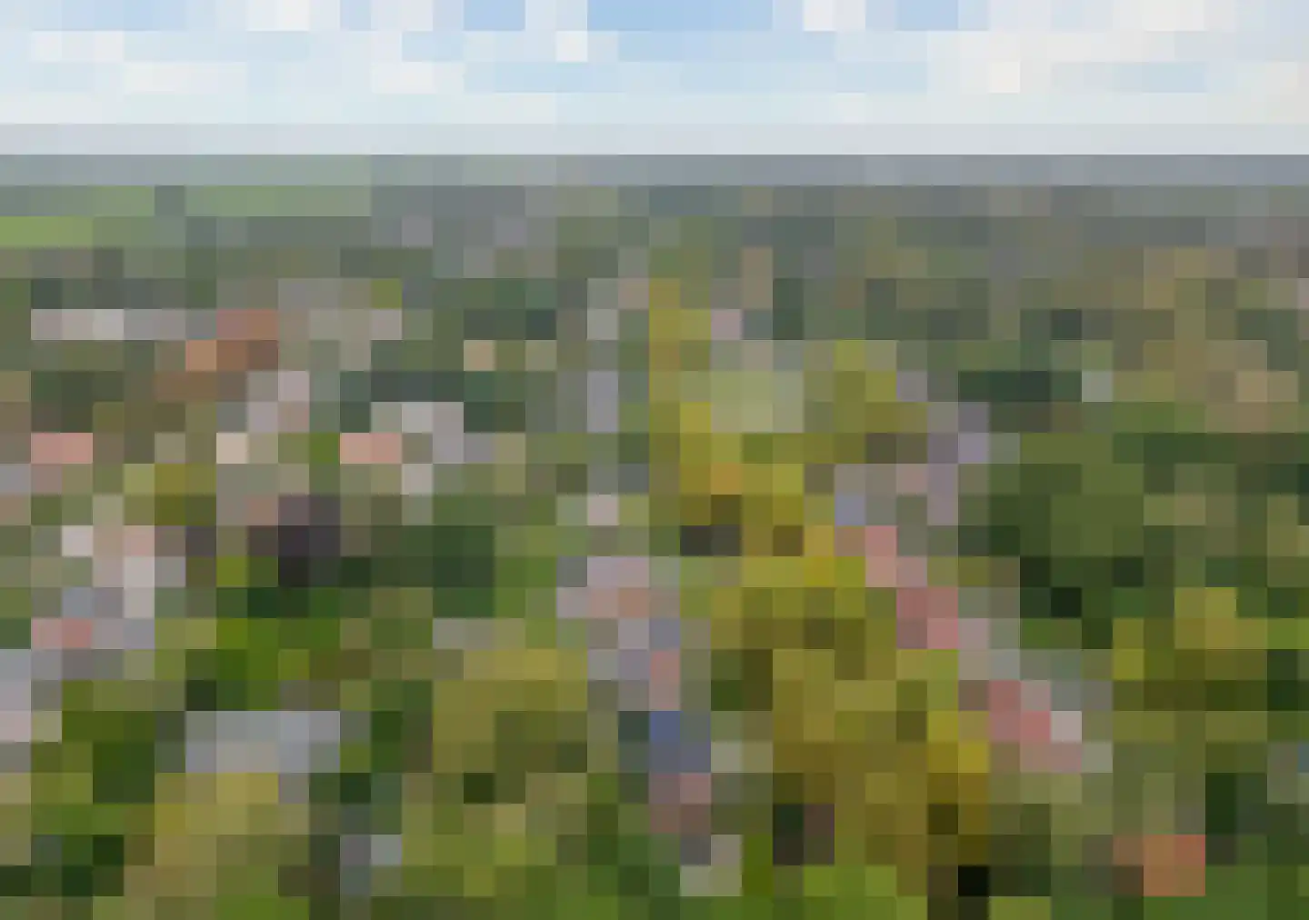 Rosariumlaan 7 Driebergen-Rijsenburg thumbnail 87