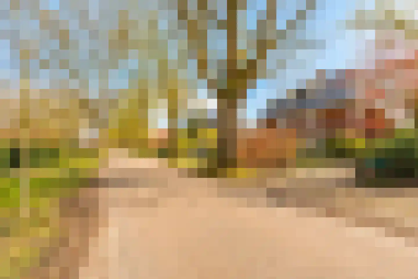 Rosariumlaan 75 Driebergen-Rijsenburg foto 3