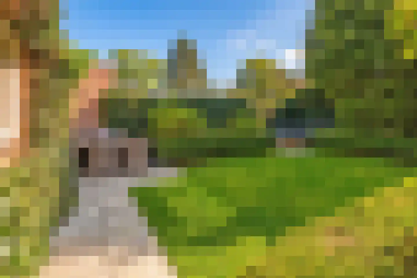 Rosariumlaan 75 Driebergen-Rijsenburg thumbnail 32