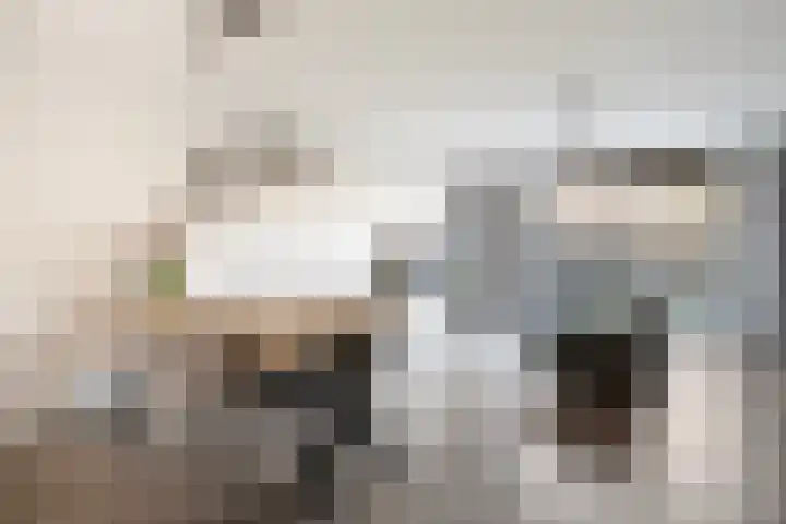 Rosariumstraat 17 Zwolle thumbnail 4