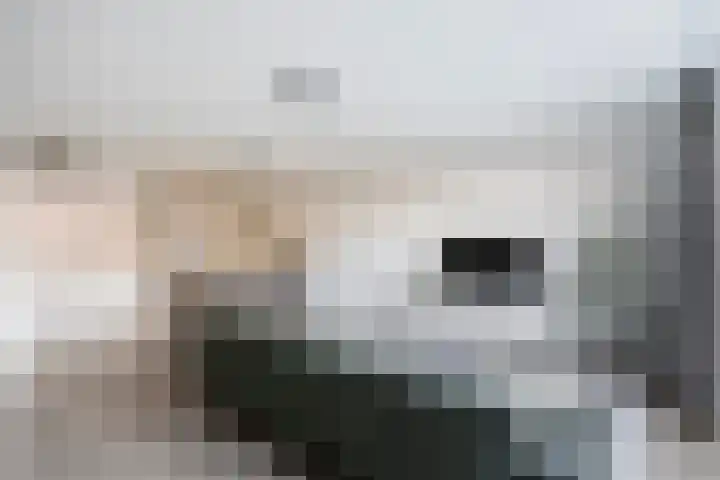 Rosariumstraat 17 Zwolle thumbnail 6