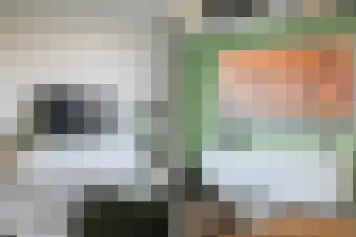 Rosariumstraat 17 Zwolle thumbnail 7
