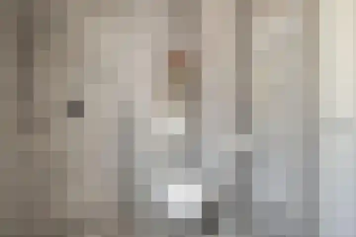 Rosariumstraat 8 Zwolle thumbnail 14