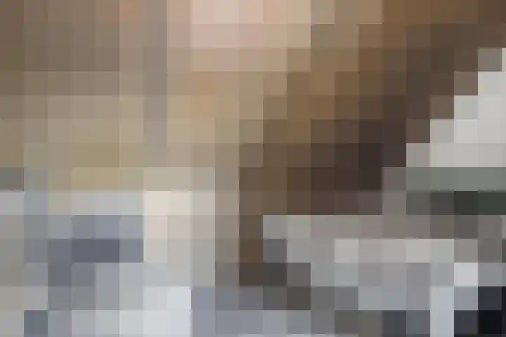 Rosariumstraat 8 Zwolle thumbnail 17