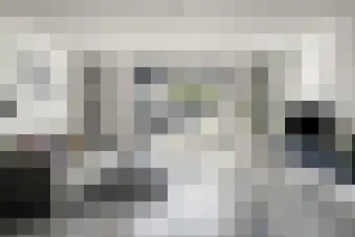 Rosariumstraat 8 Zwolle thumbnail 4