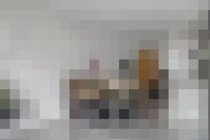 Rosariumstraat 8 Zwolle thumbnail 6