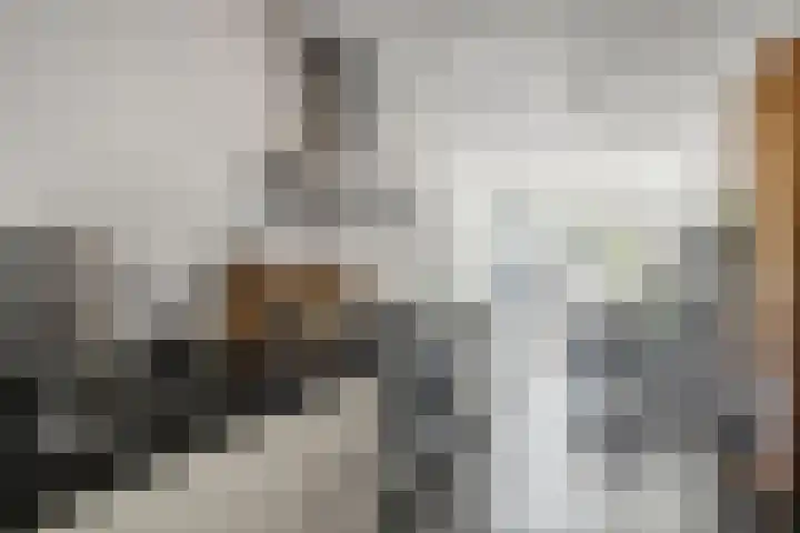 Rosariumstraat 8 Zwolle thumbnail 8