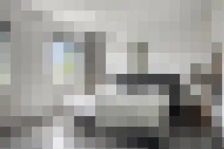 Rosariumstraat 8 Zwolle thumbnail 9