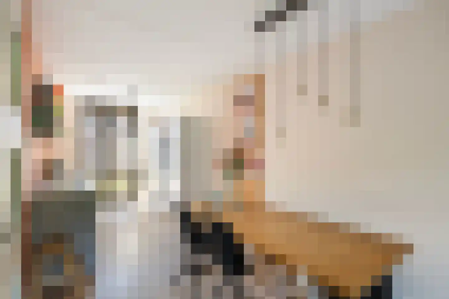 Rosariumstraat 9 Zwolle thumbnail 11